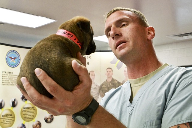 Man holding little puppy